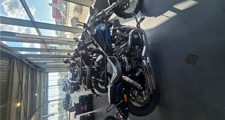 HARLEY - DAVIDSON dyna